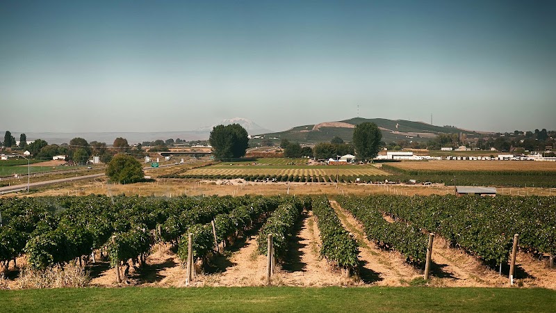 Best Western Plus Grapevine Inn in Sunnyside, Washington, United States