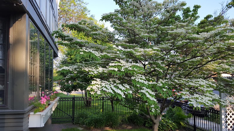 Bishop-Brighton Bed and Breakfast in Wyandotte, Michigan, United States