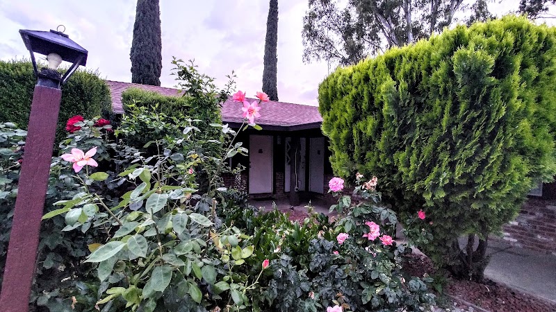 Blue Gum Motel in Willows, California, United States