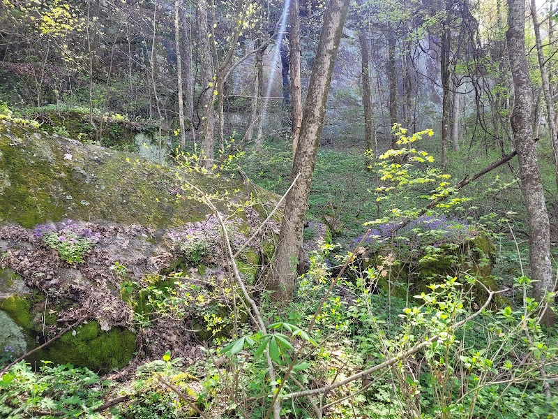 Bon Air Mountain Inn in Sparta, Tennessee, United States