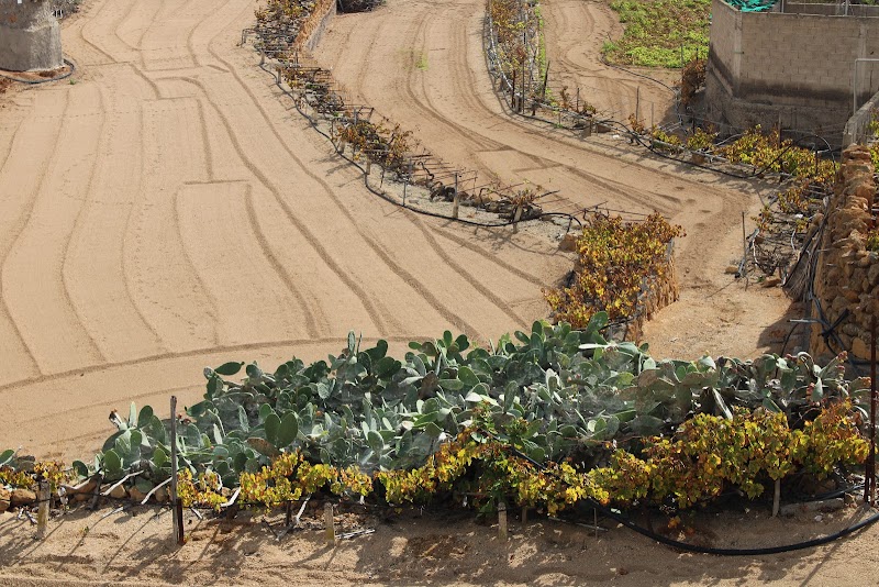 Casa Rural El Moral in Los Llanos de Aridane, Spain