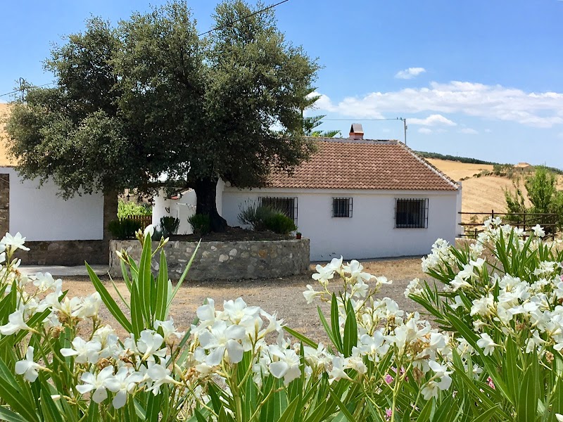 Casa Rural El Naranjo in Aguimes, Spain