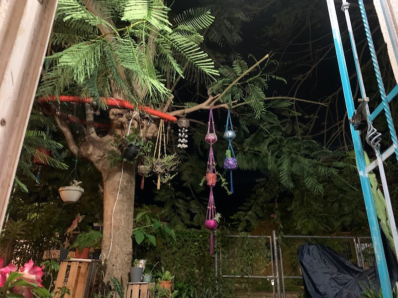 Casa de las Flores in Silver City, New Mexico, United States