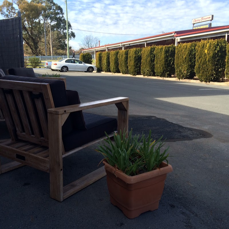 Cherry Blossom Motel in Young, Australia