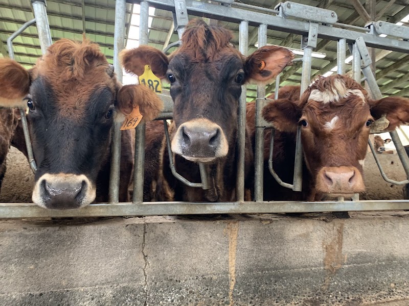 Cherry Valley Winery and B&B in Duvall, Washington, United States