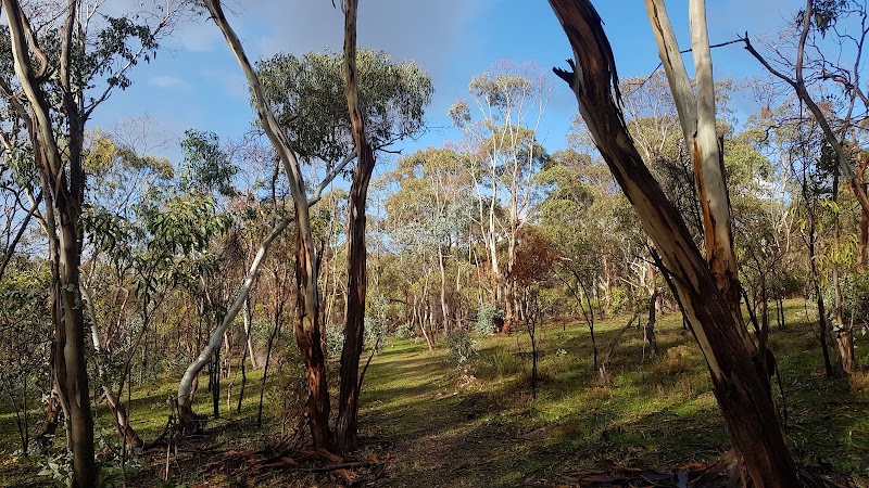 Cockatoo Valley House in Clare, Australia