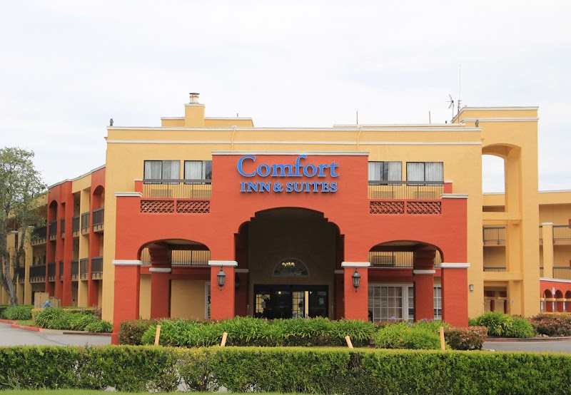 Comfort Inn & Suites San Francisco Airport North in South San Francisco, California, United States