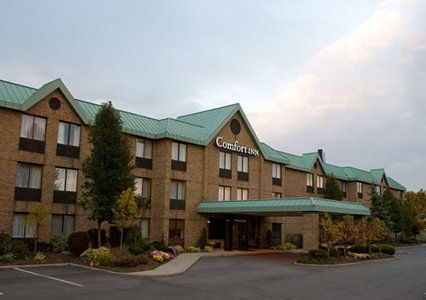 Comfort Inn Utica in Sterling Heights, Michigan, United States