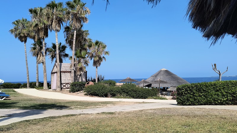 Cynthiana Beach Hotel in Paphos, Cyprus