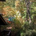 Dahlonega Hideaway Havens
