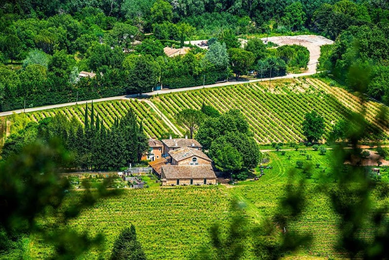 Domaine Regis Freres in Vidauban, France