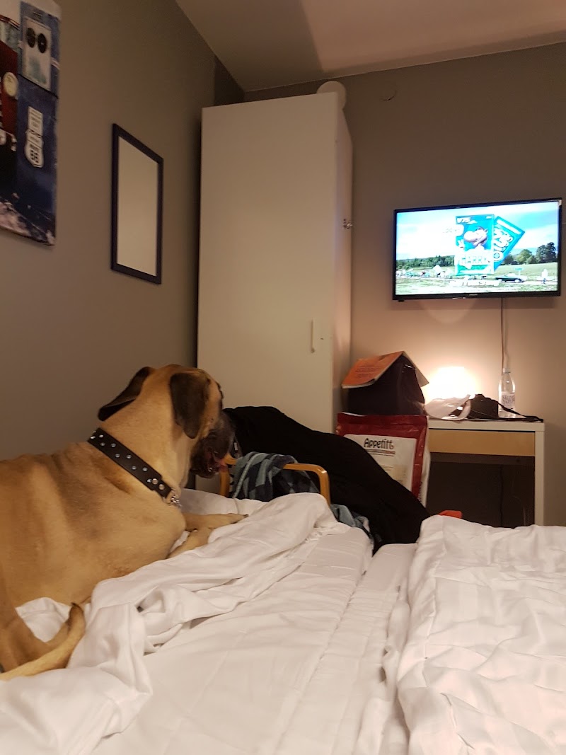 Drottninggatans Vandrarhem in Karlskrona, Sweden