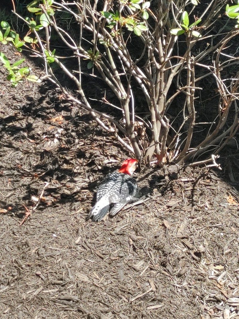 East Petersburg Inn & Suites in East Petersburg, Pennsylvania, United States