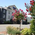 Fairfield Inn & Suites by Marriott Ukiah Mendocino County