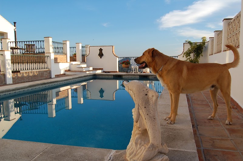 Finca El Cortijillo in Alhaurin el Grande, Spain