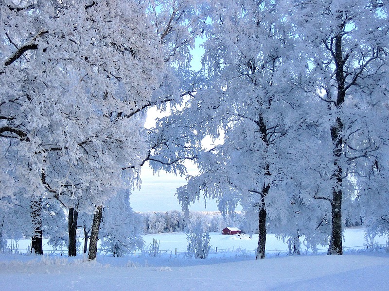 Finnsta Gård Cottages in Vasteras, Sweden