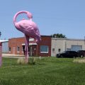 Flamingo Motel