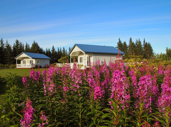 Frenchy's Fishing and Adventure Cabins in Sterling, Alaska, United States