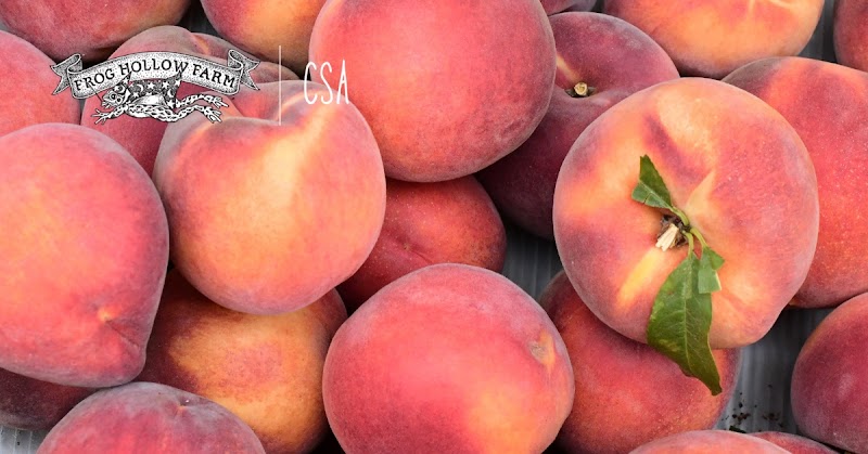 Frog Hollow Farm B&B in Lexington, Virginia, United States