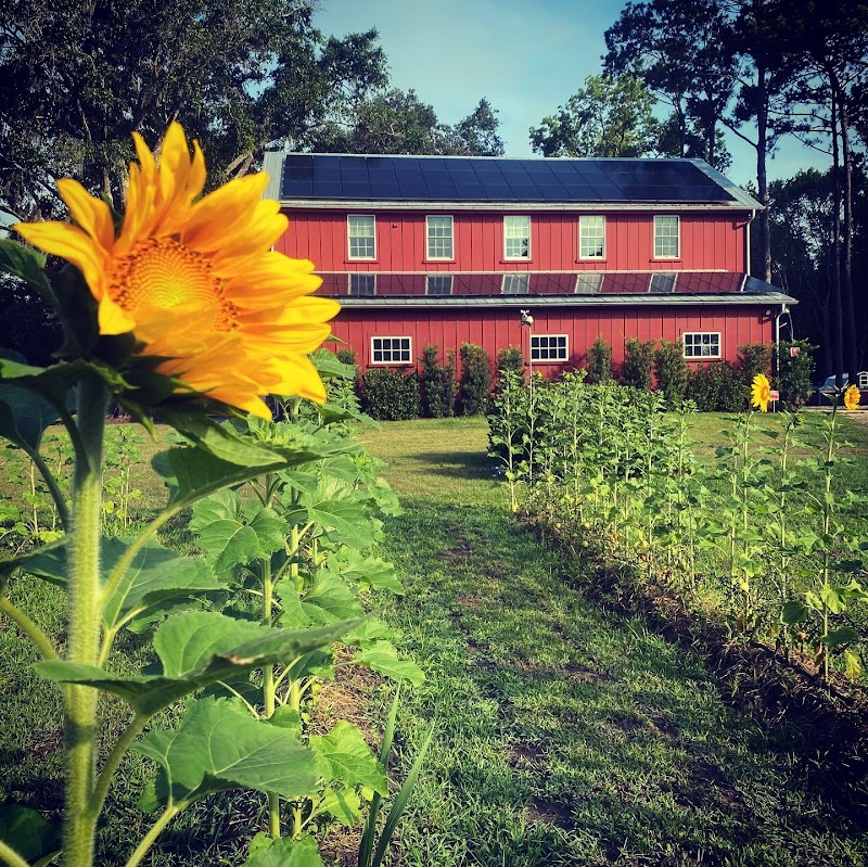 Full Circle Farm in Fountain Inn, South Carolina, United States