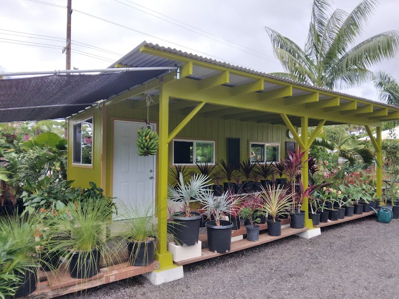 Hale Hapu'u in Hilo, Hawaii, United States