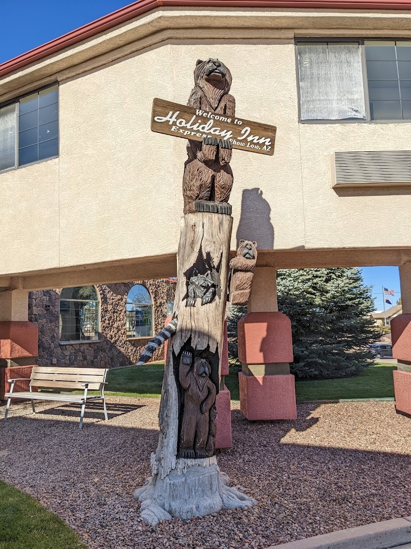Holiday Inn Express Show Low in Show Low, Arizona, United States