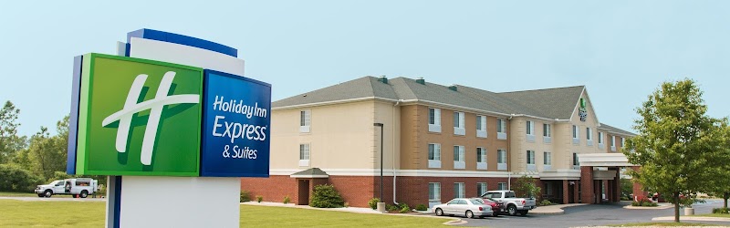 Holiday Inn Express & Suites Jackson in Jackson, Michigan, United States