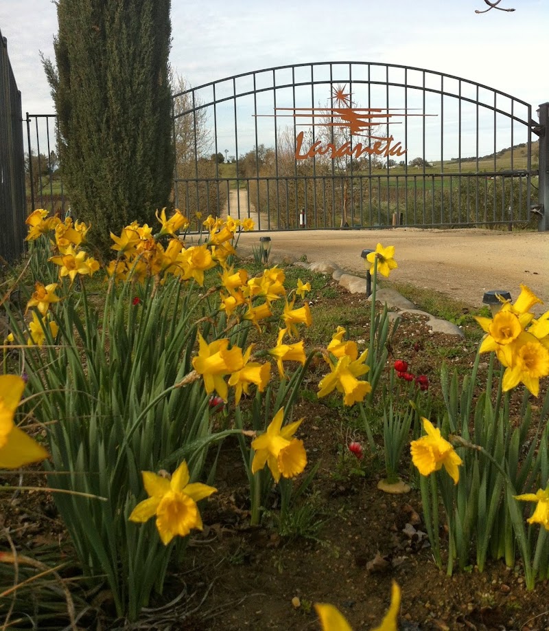 Honey Oak House at Laraneta Vineyards in Templeton, California, United States