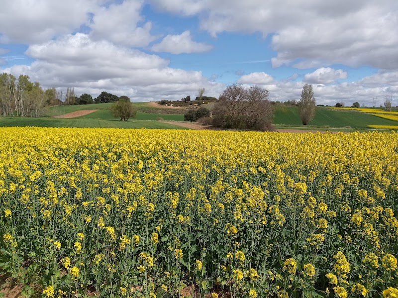 Hostal Costaján in Aranda de Duero, Spain