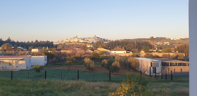 Hostal La Plata in Moron de la Frontera, Spain
