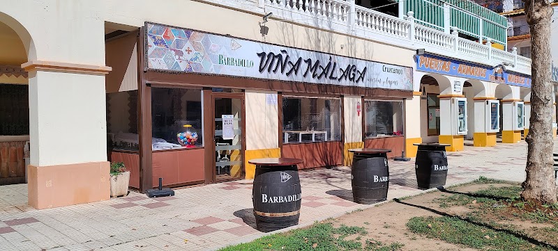 Hostal La Viña in Torre del Mar, Spain