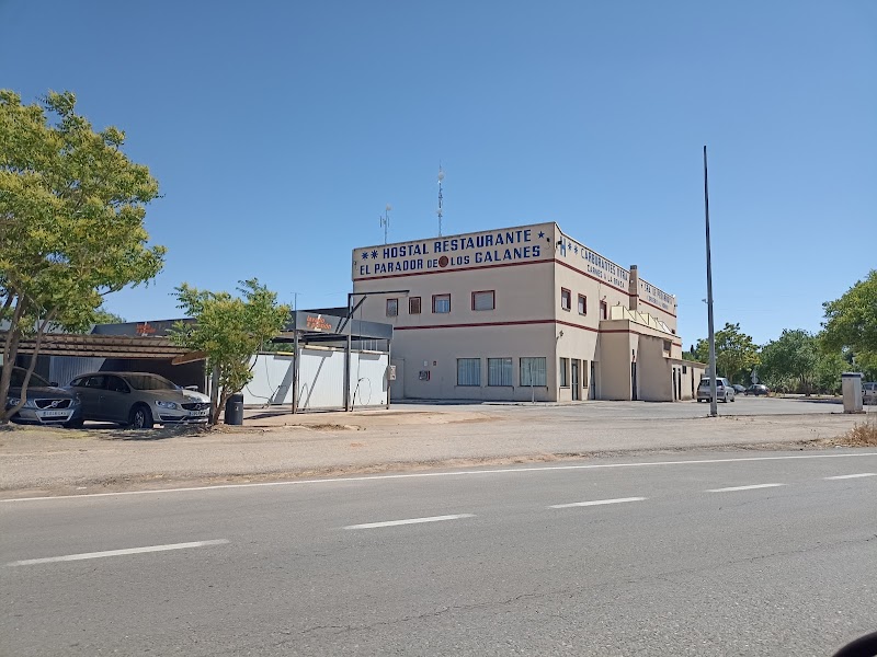 Hostal Parador de los Galanes in Manzanares, Spain