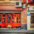 Hostal Rosales