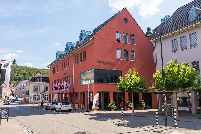Hotel Aesch in Schwyz, Switzerland