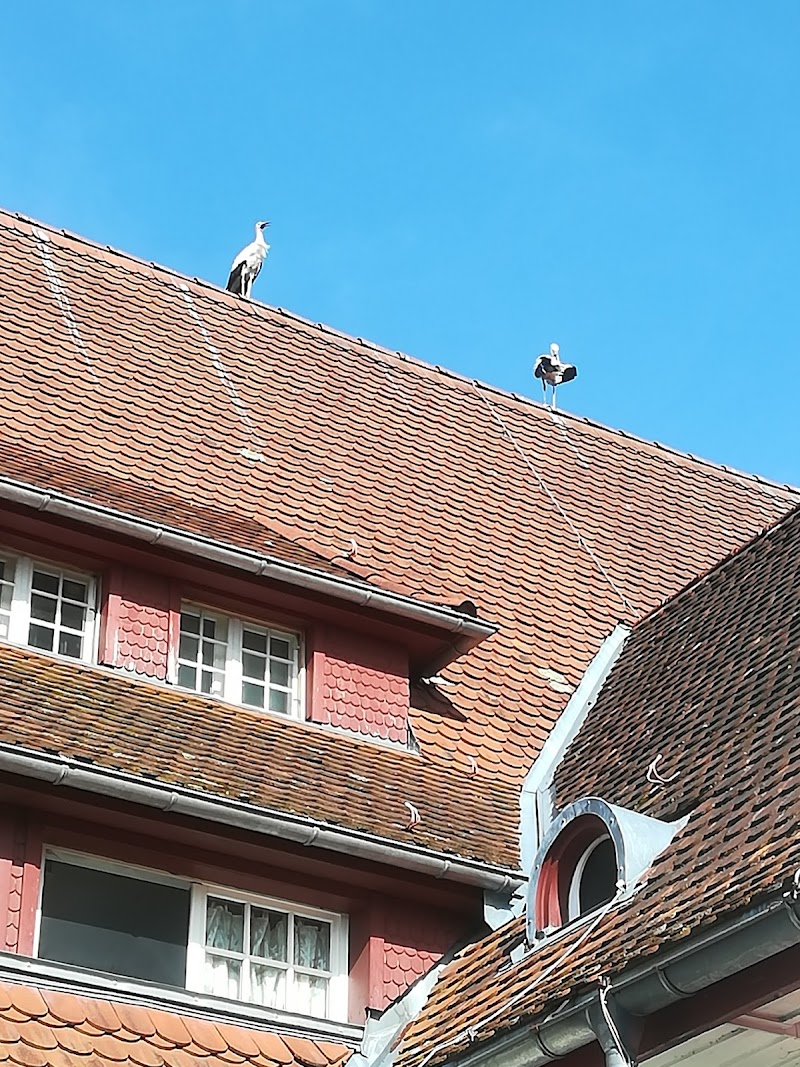 Hotel Albani in Winterthur, Switzerland