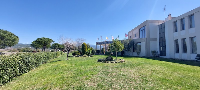 Hotel Alkionis in Zacharo, Greece