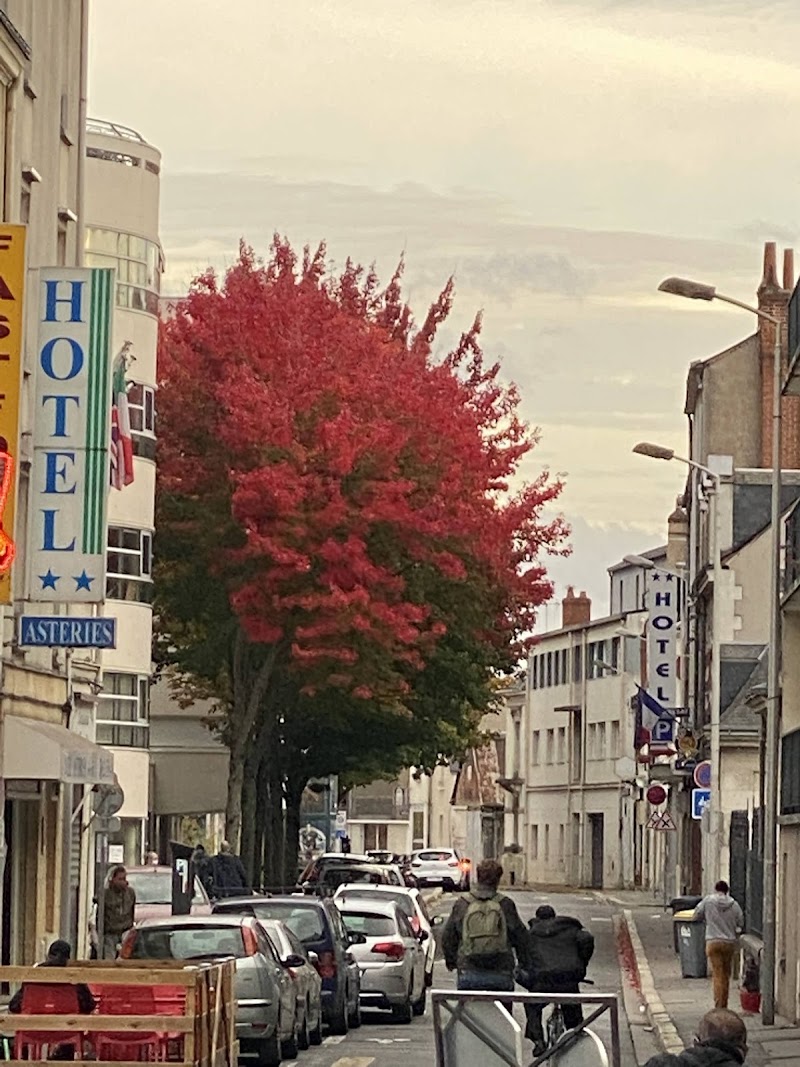 Hotel Asteries in Tours, France