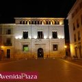 Hotel Avenida Plaza