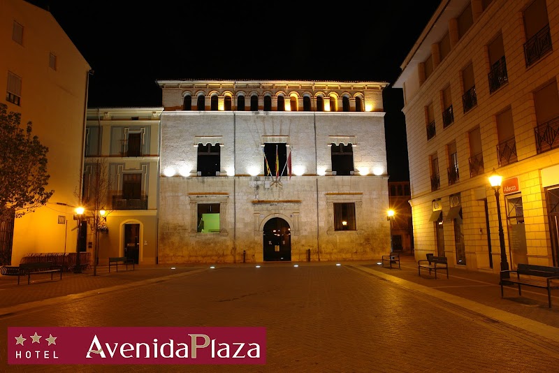 Hotel Avenida Plaza in Alcira, Spain