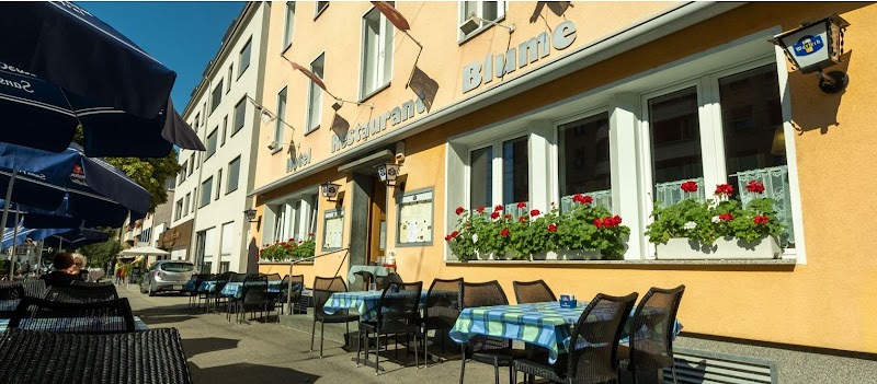 Hotel Blume in Birsfelden, Switzerland