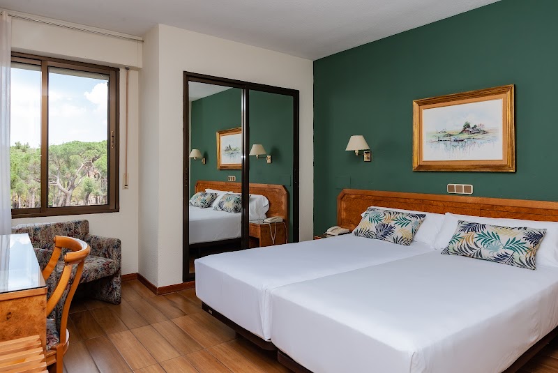 Hotel Don Carmelo in Avila, Spain