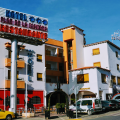 Hotel Flor de la Mancha