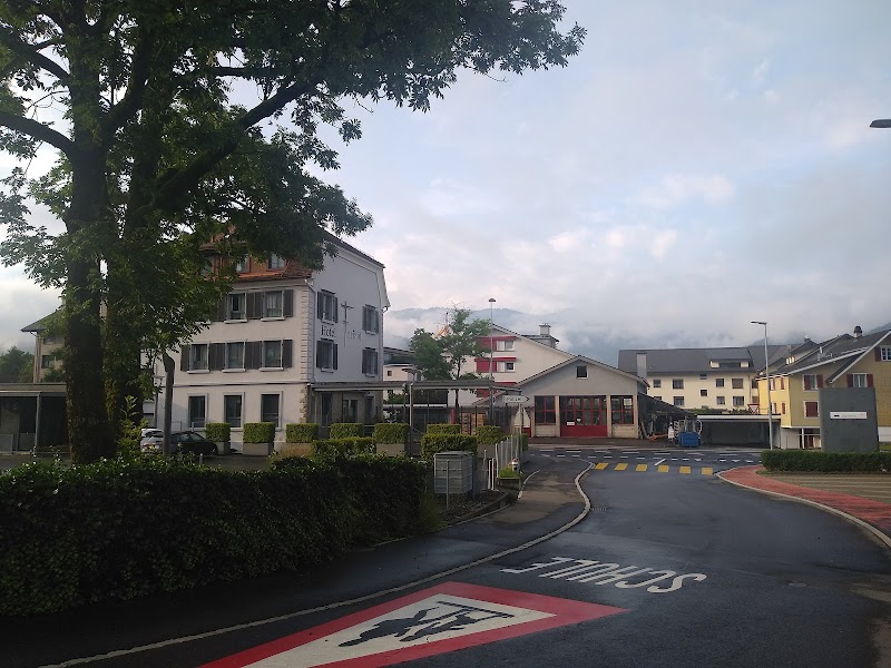 Hotel Freihof am See in Unterageri, Switzerland