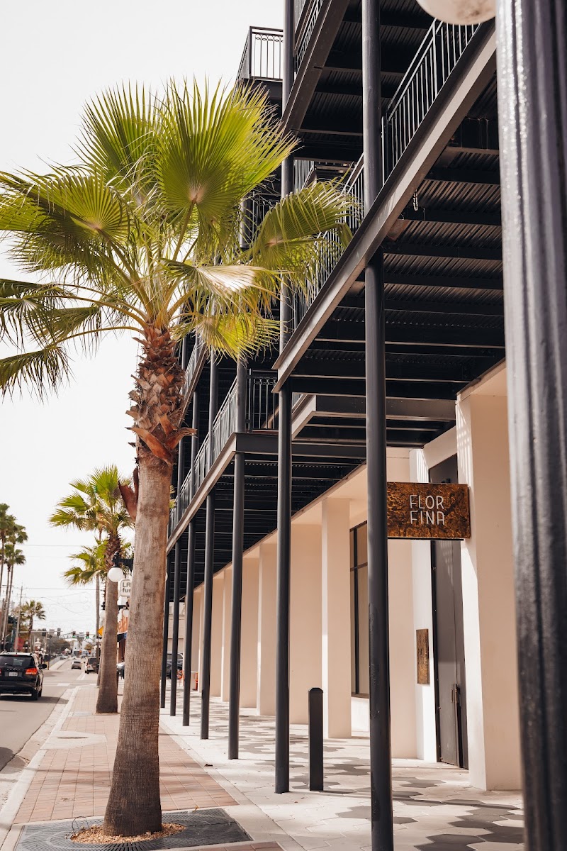 Hotel Haya in Tampa, Florida, United States