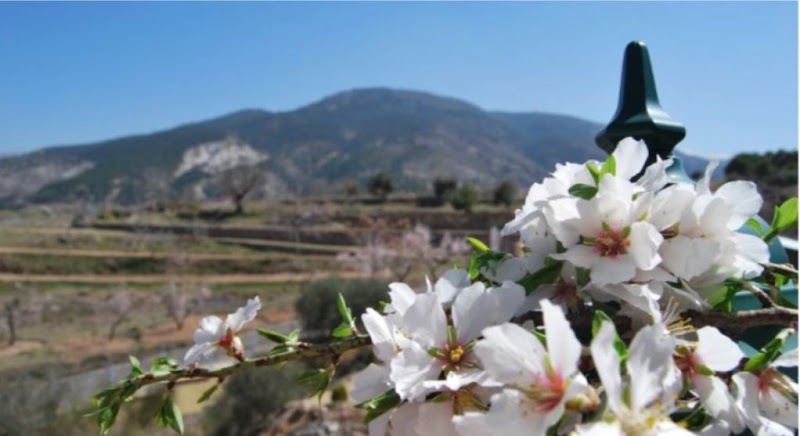 Hotel La Encina Centenaria in Monachil, Spain