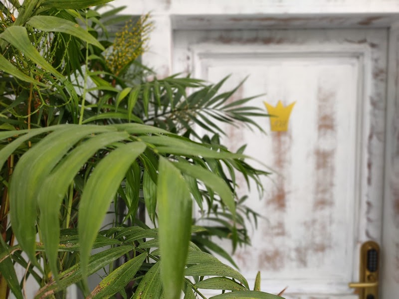 Hotel La Princesa y El Guisante in Conil de la Frontera, Spain