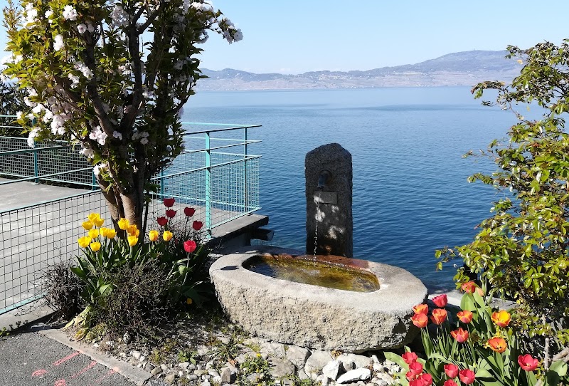 Hotel Le Leman in Thonon-les-Bains, France