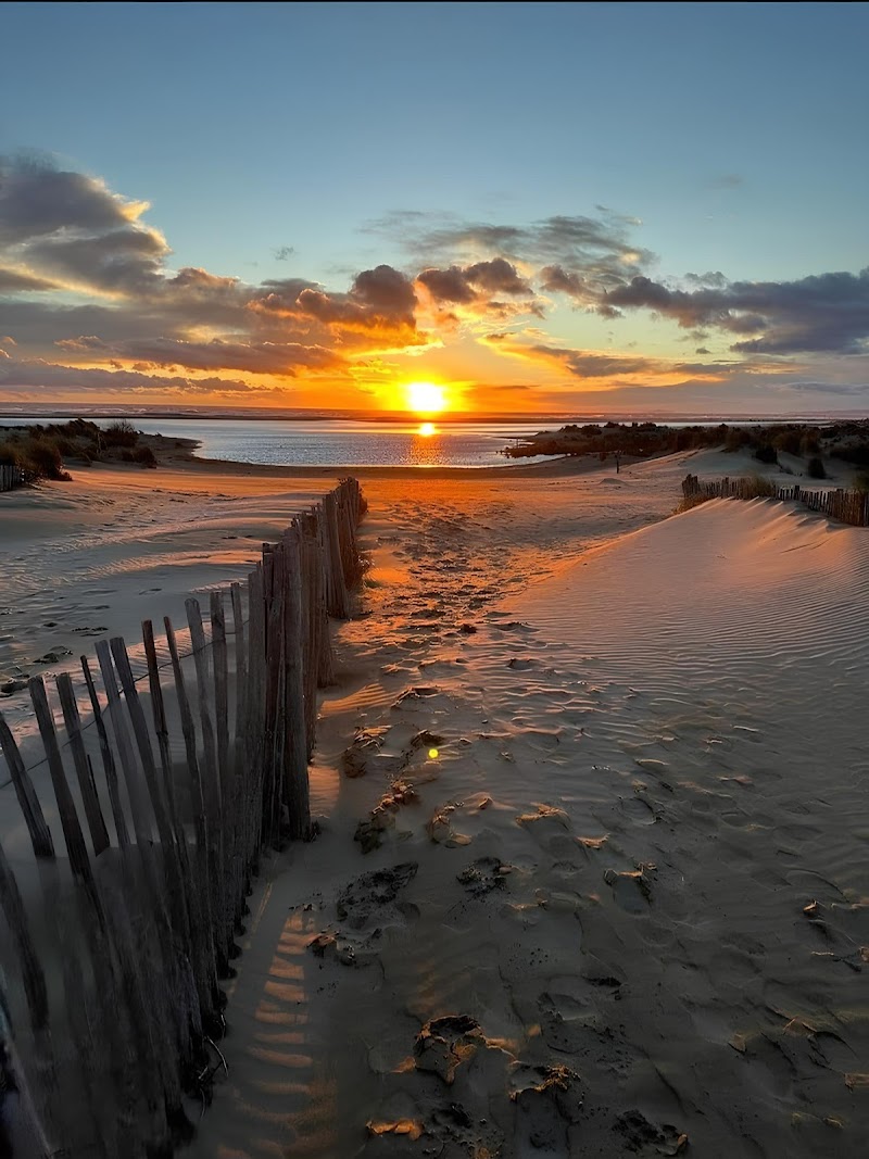 Hotel Les Cigales in Le Grau-du-Roi, France