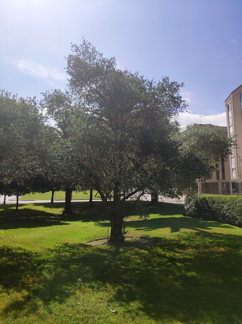 Hotel Norte in Gijon, Spain