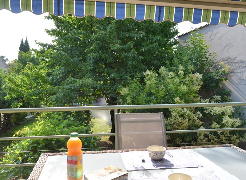 Hotel Particulier de la Monnaie in Albi, France